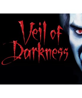 Veil of Darkness GOG.com Key 101